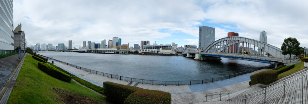 Near Tokyo Bay